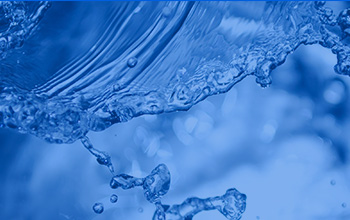 若何甄别犯法证券活动