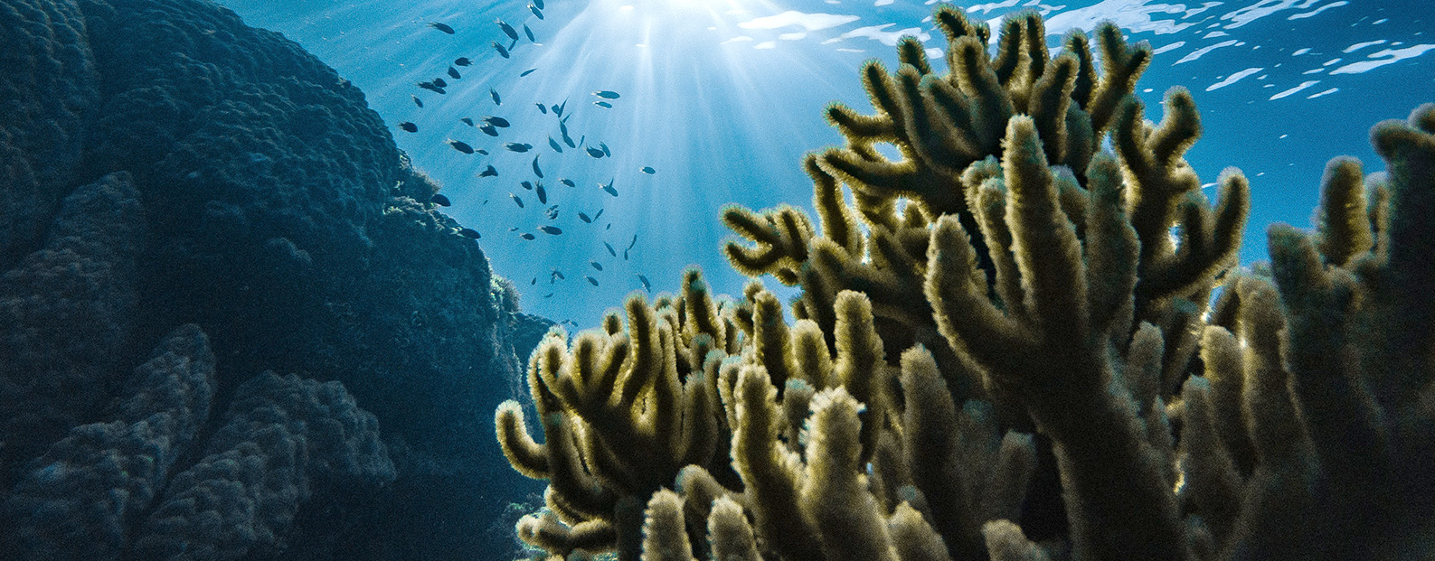 4008云顶集团中水回用、陶瓷膜、石墨烯膜、黑金膜公家号，迎接您扫码关注！