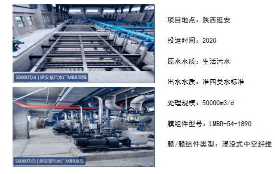 4008云顶集团(国际)股份有限公司
