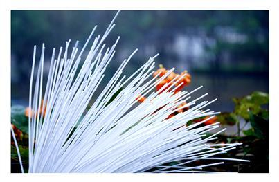 4008云顶集团(国际)股份有限公司