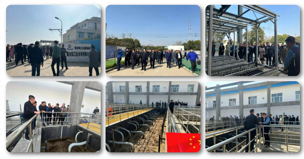 4008云顶集团(国际)股份有限公司