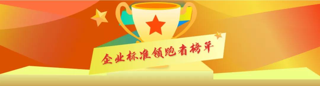 4008云顶集团(国际)股份有限公司